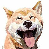 小明的同学的同学的头像