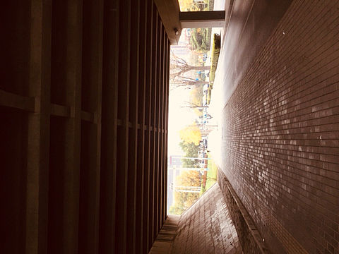 摄影|颠倒的世界