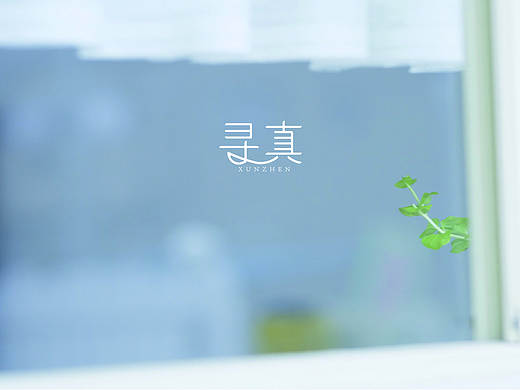 杂项各位老师斧正