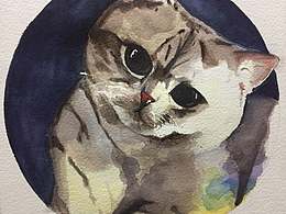 好久没画猫了