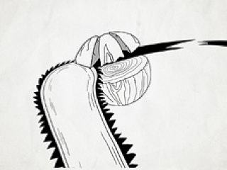 我们只有一个地球