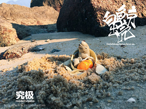 究极model studio-白鲸出壳