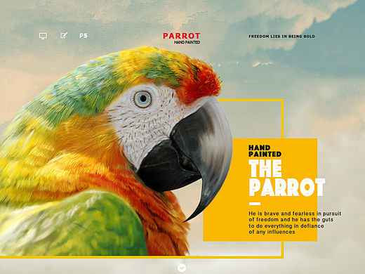 《The Parrot》手绘 