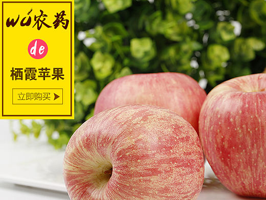栖霞苹果