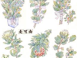 插画