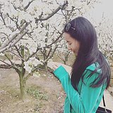 pengruixi的头像