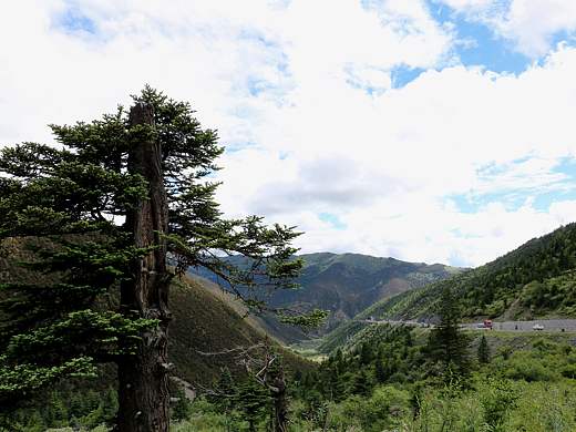 甘孜游记之（三）勇爬折多山
