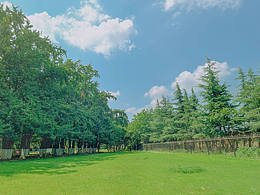 小清新風(fēng)景攝影拍攝