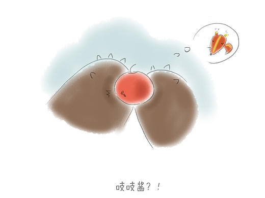 圣诞节的礼物