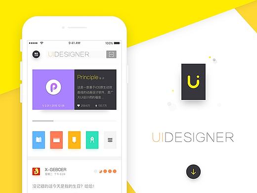 UI DESIGNER