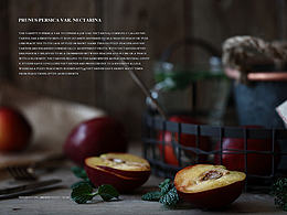 一堆美好的闲七杂八