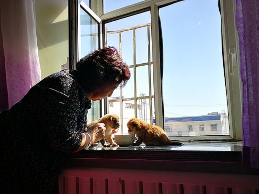 姥姥（个人主页-ZMjgxODYyMzY=） - 人像摄影 - 站酷设计师燕儒原创素材 - 站酷ZCOOL