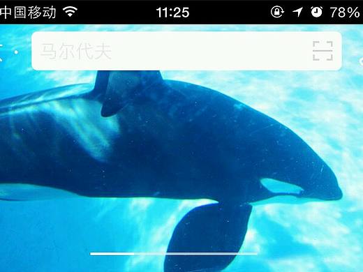 APP首页