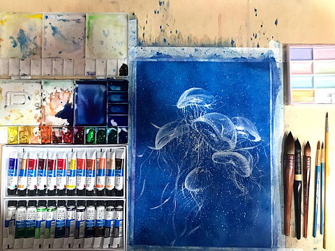 水彩画透明水母:kissing_heart: