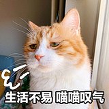 YY_零的头像