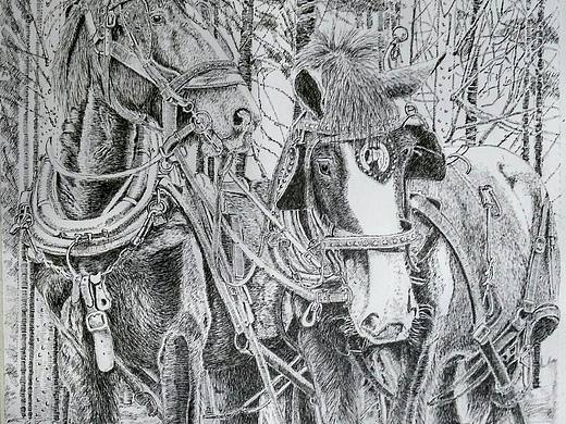 一组针管钢笔画