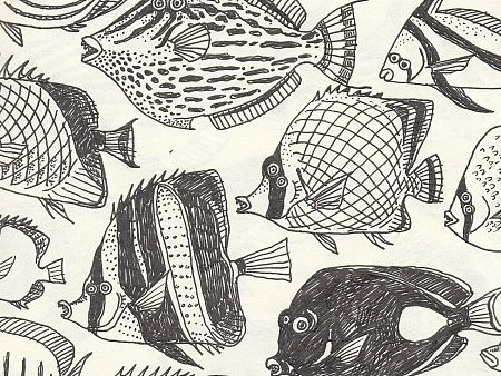 眼睛长在一侧的观赏鱼