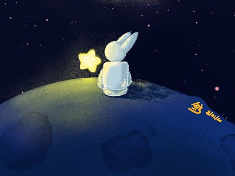 兔子先生和鲸鱼女士