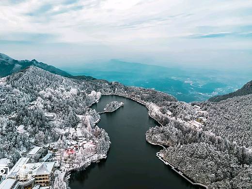 如琴听雪