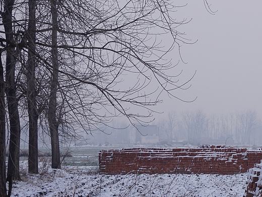 关于我小时候的所有记忆