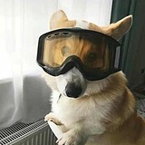 欧阳松的头像