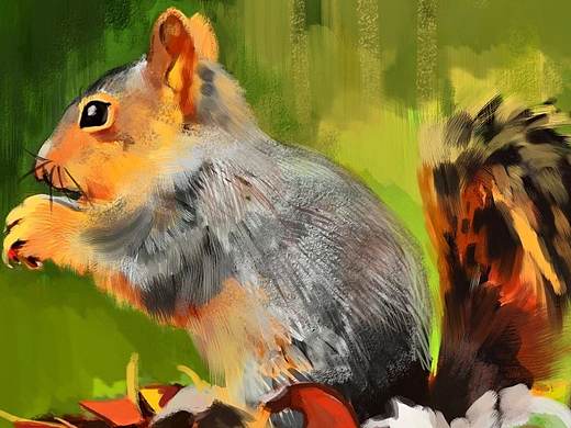 狐貍?cè)粘＃▊€人主頁-ZNTAxNTYzNDQ=） - 創(chuàng)作習作 - 站酷設(shè)計師許Fox原創(chuàng)素材 - 站酷ZCOOL