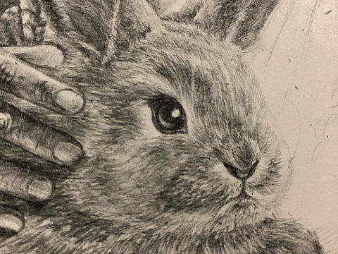 魔道祖师 忘叽兔