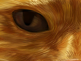 我家的【猪】（个人主页-ZNjYzNzAwNA==） - 创作习作 - 站酷设计师MAO爷爷原创素材 - 站酷ZCOOL