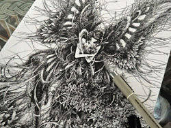 杉泽-洛篁及+其它