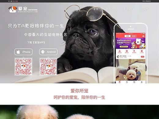 《爱宠》网页版--下载页