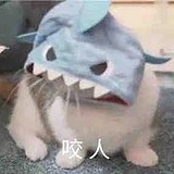 洙火的头像