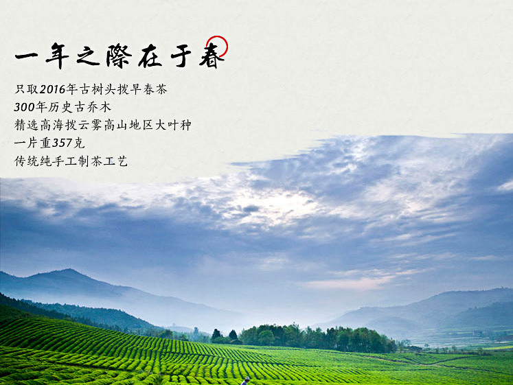 茶叶详情的排版