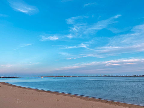 海与芦苇