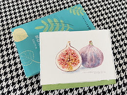 水彩手绘无花果