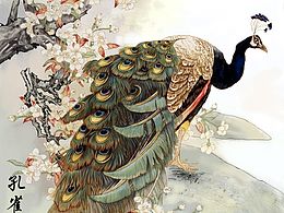 鲤鱼