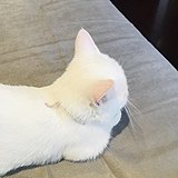穗糖的头像