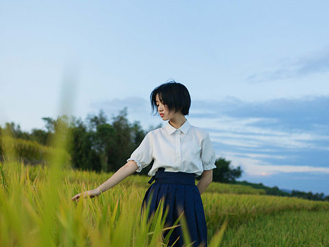 田野里盼望