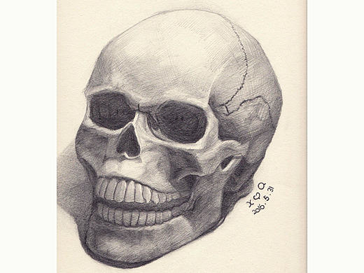 基础素描——头骨/骷颅头