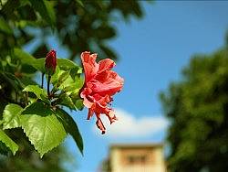 廈門·鼓浪嶼（個人主頁-ZMTA2NDQzMg==） - 風(fēng)光攝影 - 站酷設(shè)計師Riki原創(chuàng)素材 - 站酷ZCOOL