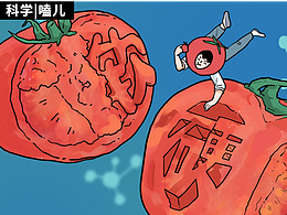 农场设计