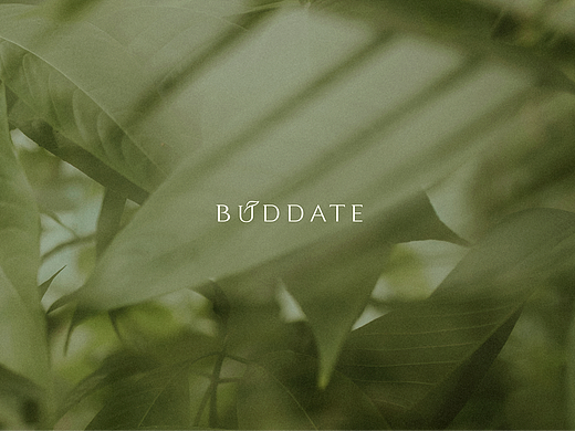 Buddate丨发芽时光