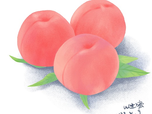 畫師繁星2.0第一期第一周靜物（水蜜桃）（個(gè)人主頁-ZNjUxNjI2NDg=） - 創(chuàng)作習(xí)作 - 站酷設(shè)計(jì)師u迷蜜原創(chuàng)素材 - 站酷ZCOOL