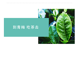 展示设计(完整)