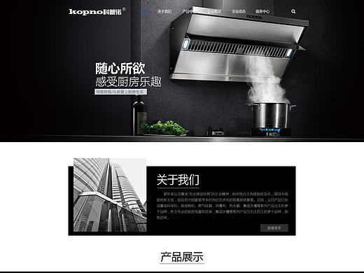 企业站 官网 改版 厨电