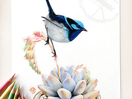 太久沒更新了，今天來一組鳥兒組合