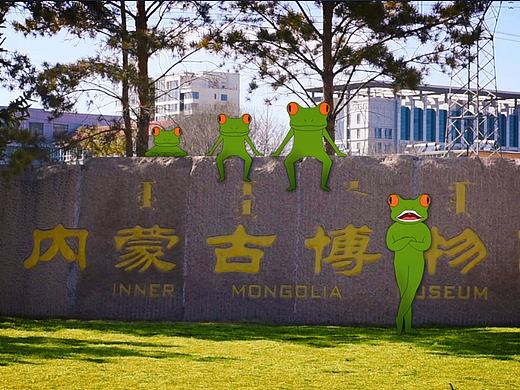 呼和浩特抽筋蛙
