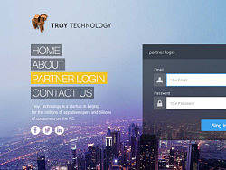 企業(yè)網(wǎng)站