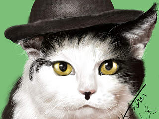 貓咪先生（個(gè)人主頁(yè)-ZNzM0NzY4NA==） - 圖案 - 站酷設(shè)計(jì)師黨小曼原創(chuàng)素材 - 站酷ZCOOL