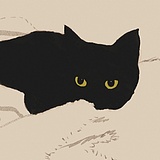 BK白井的头像