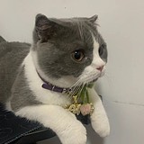 杨杨桃的头像